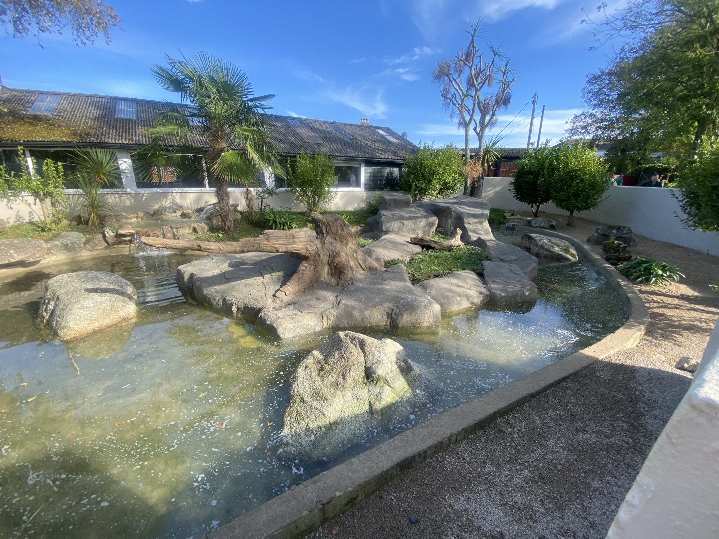 Asian small-clawed otter enclosure 081023