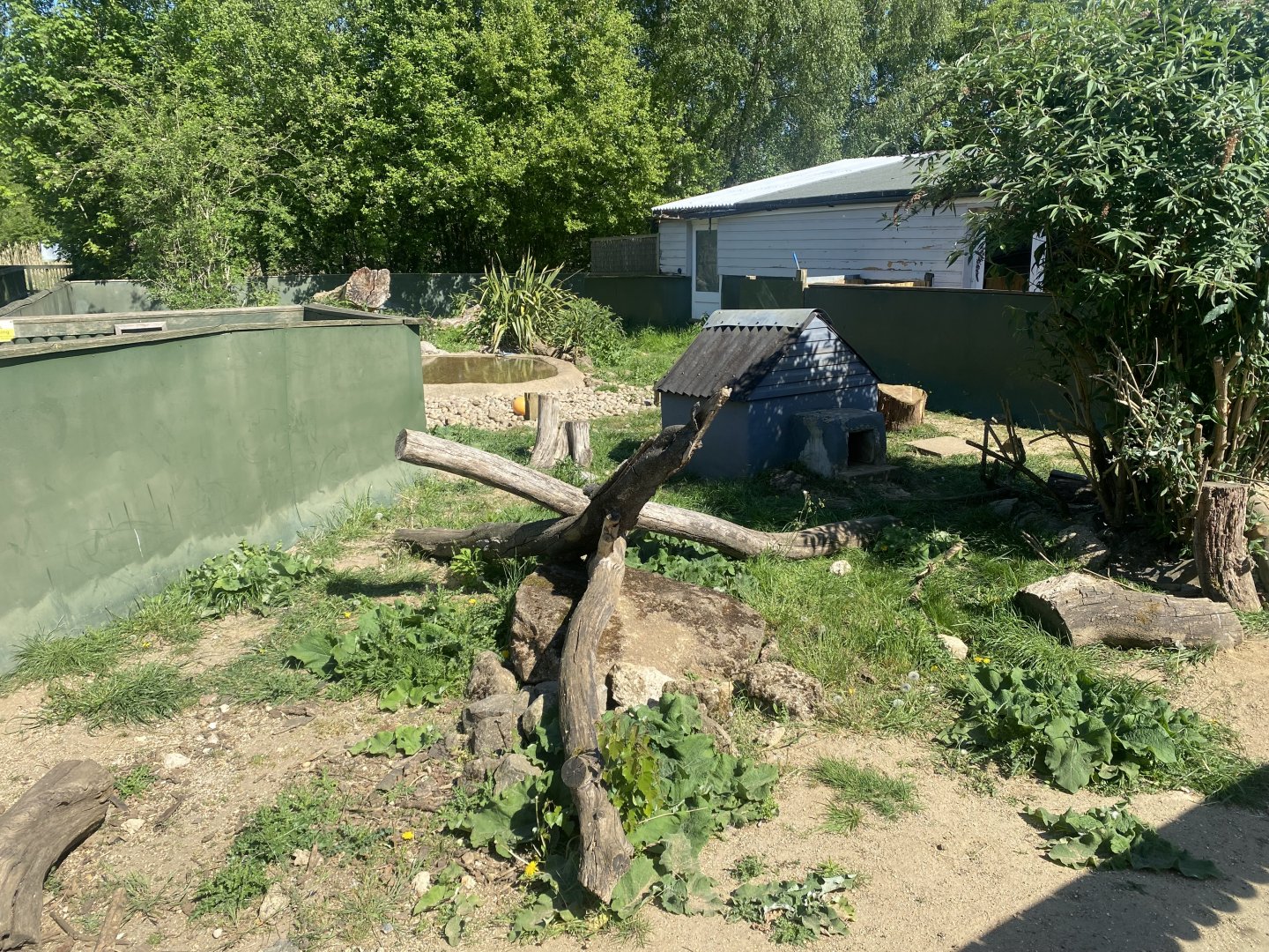 Asian small-clawed otter enclosure 090525