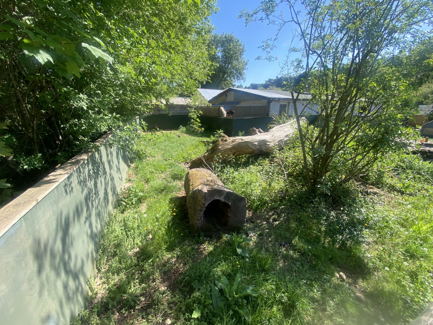 Asian small-clawed otter enclosure 090525