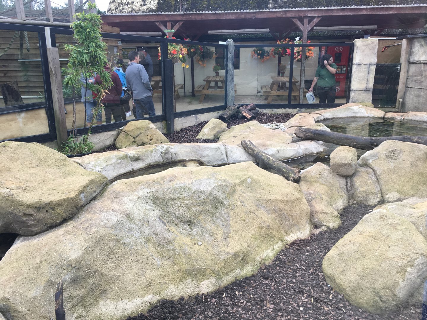 Asian small-clawed otter enclosure 100917