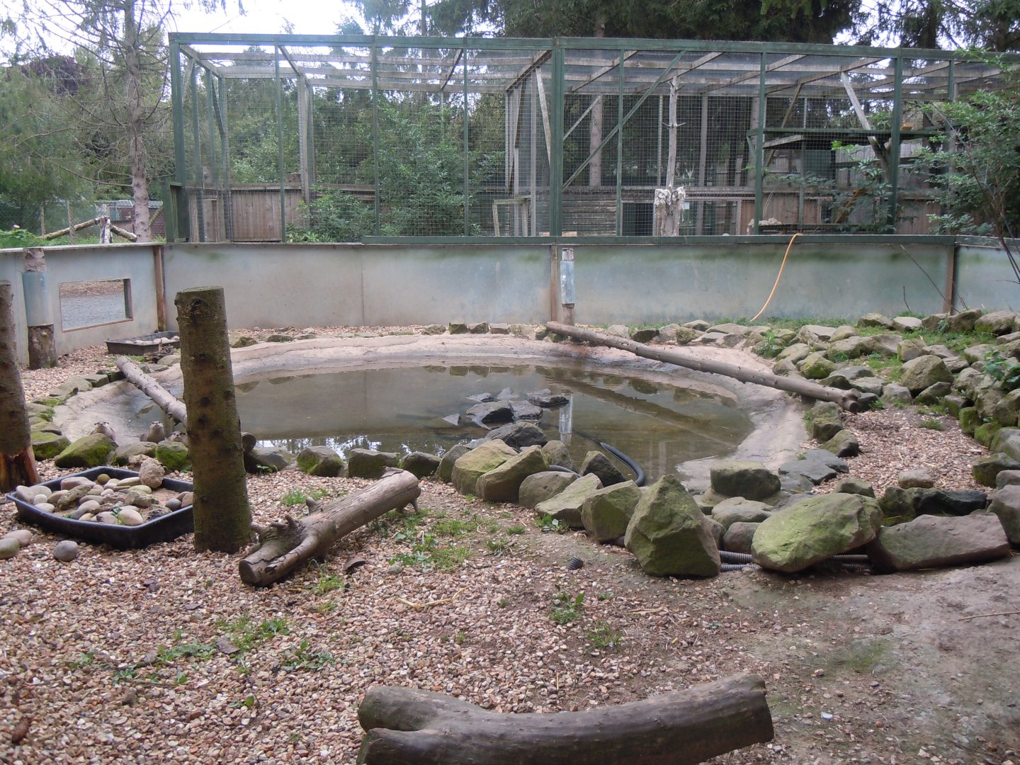 Asian small-clawed otter enclosure 100920