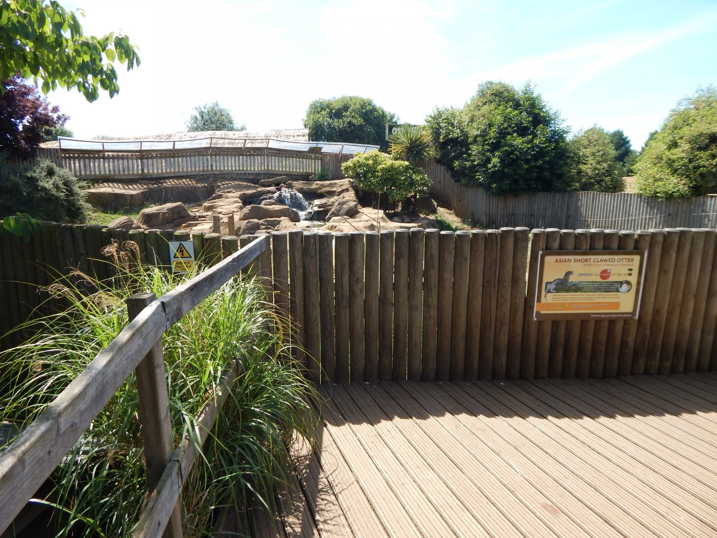 Asian small-clawed otter enclosure 110722