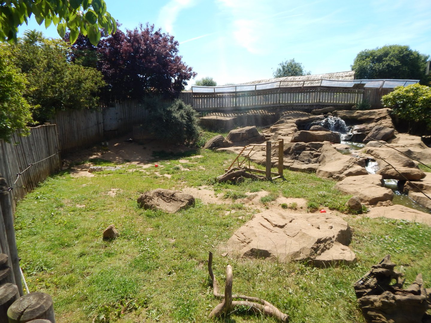 Asian small-clawed otter enclosure 110722