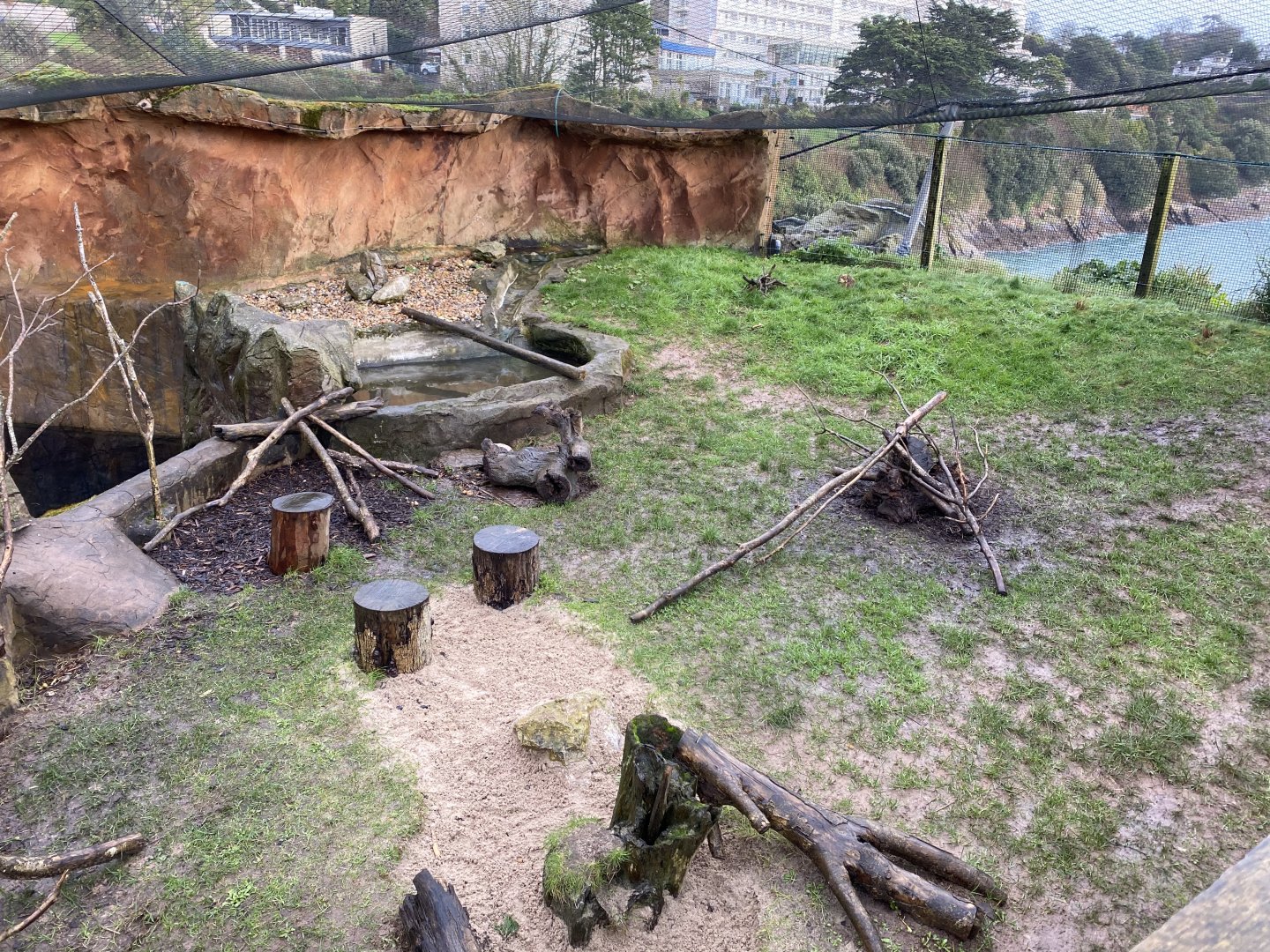 Asian small-clawed otter enclosure 160220