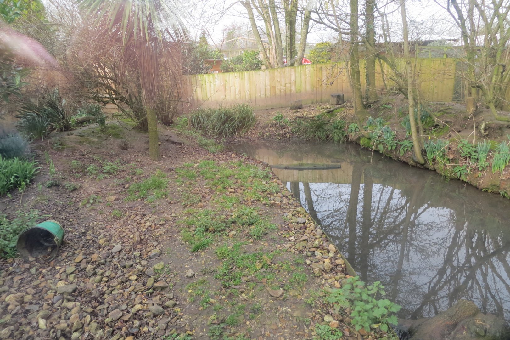 Asian small-clawed otter enclosure 170219