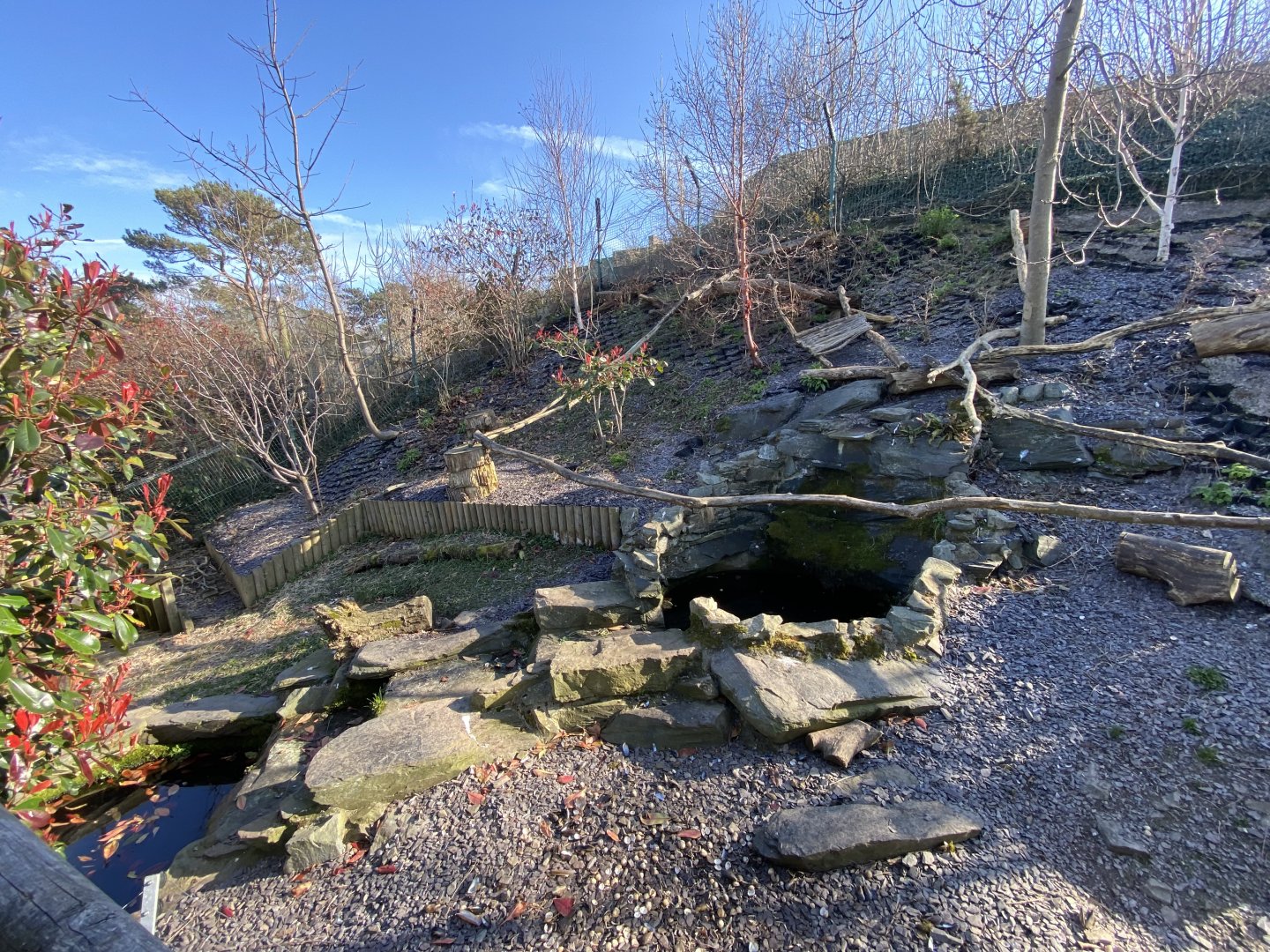 Asian small-clawed otter enclosure 190325