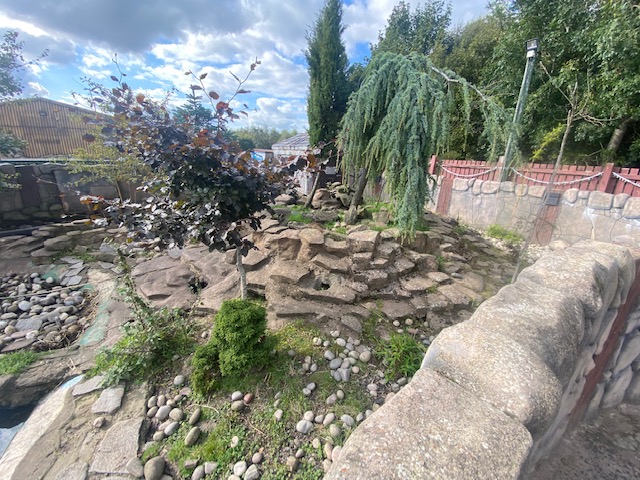 Asian small-clawed otter enclosure 200922