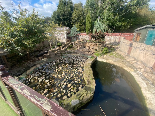 Asian small-clawed otter enclosure 200922