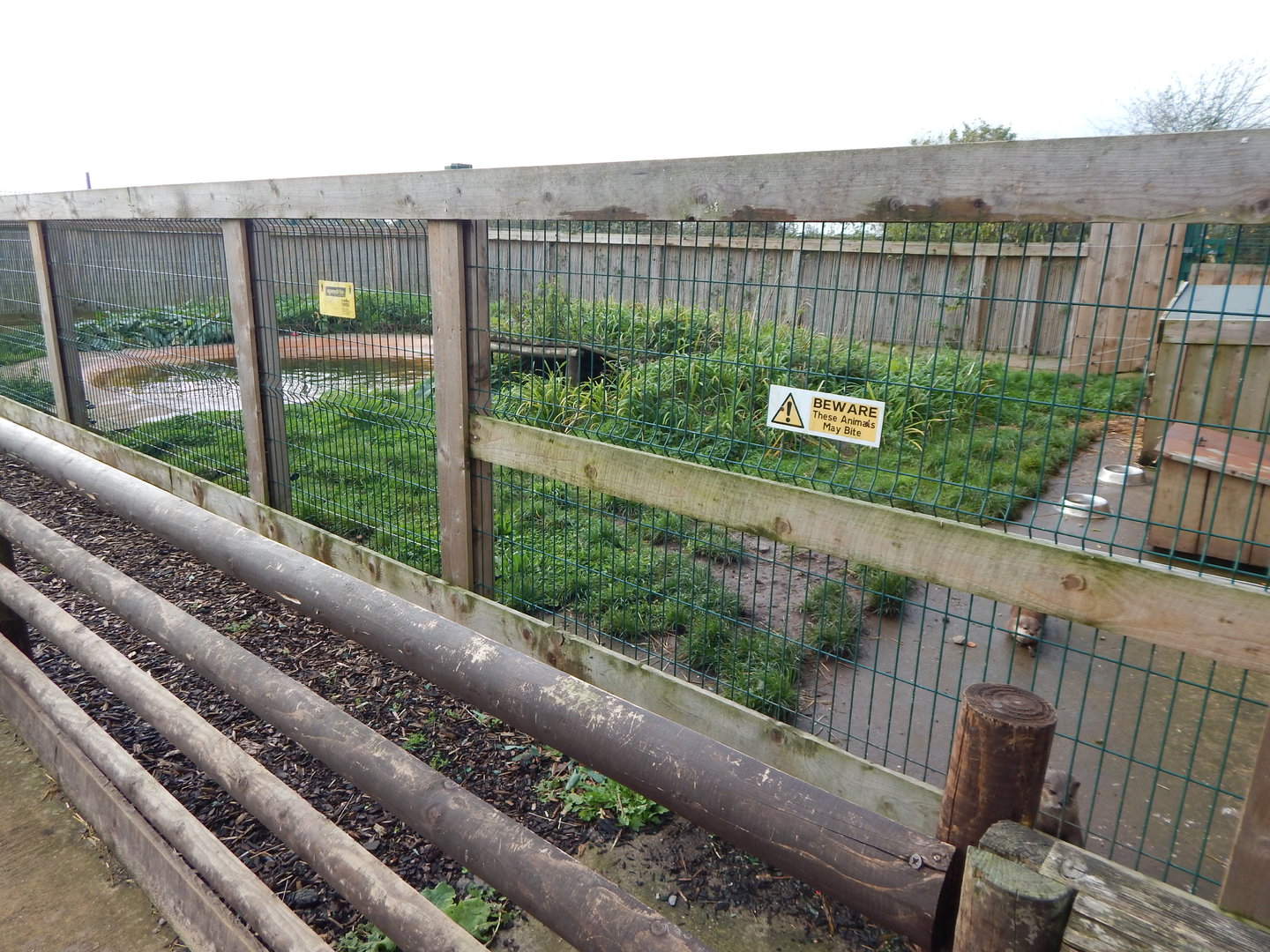 Asian small-clawed otter enclosure 231022