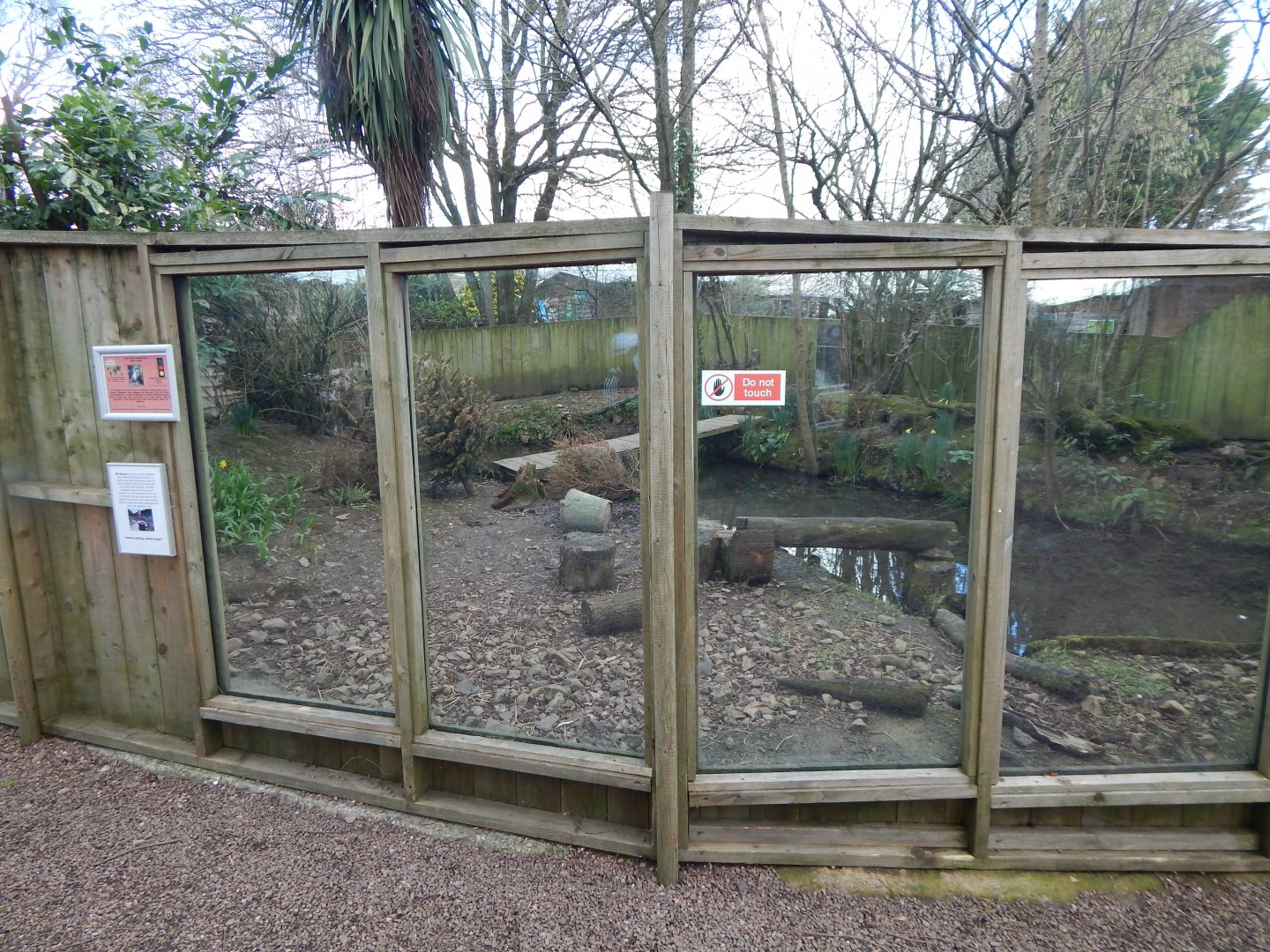 Asian small-clawed otter enclosure 250222