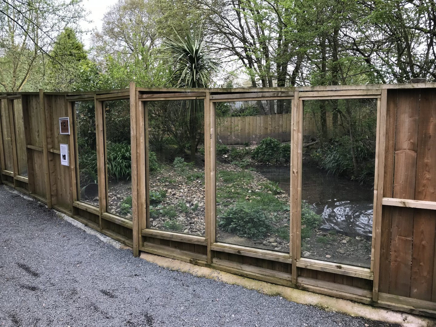 Asian small-clawed otter enclosure 280418