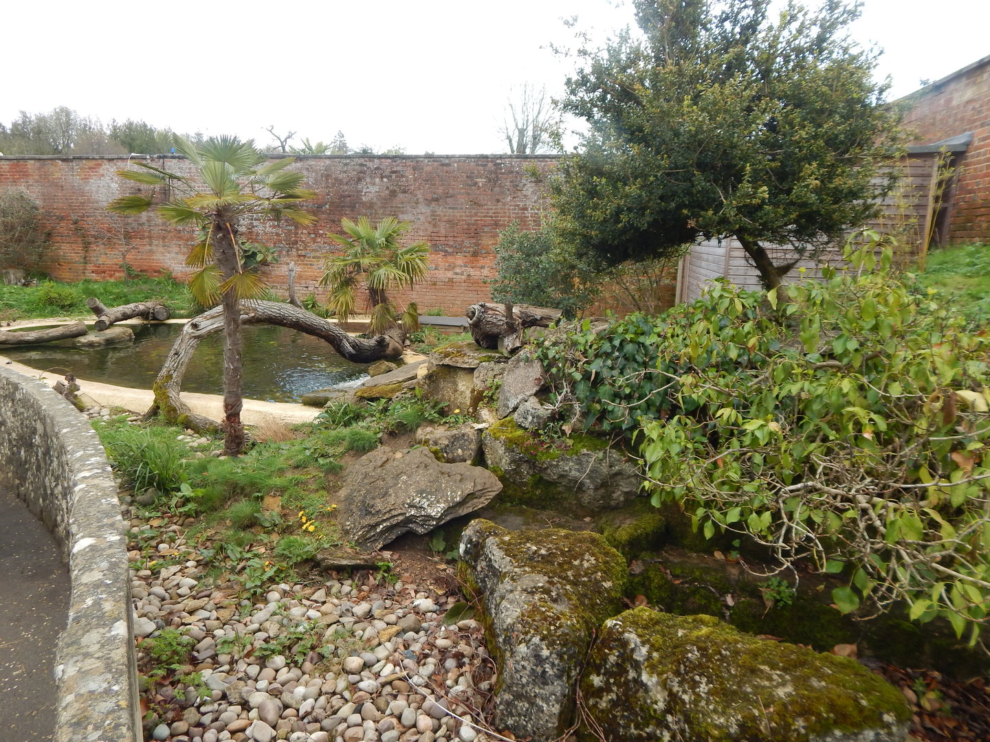 Asian small-clawed otter enclosure 280423