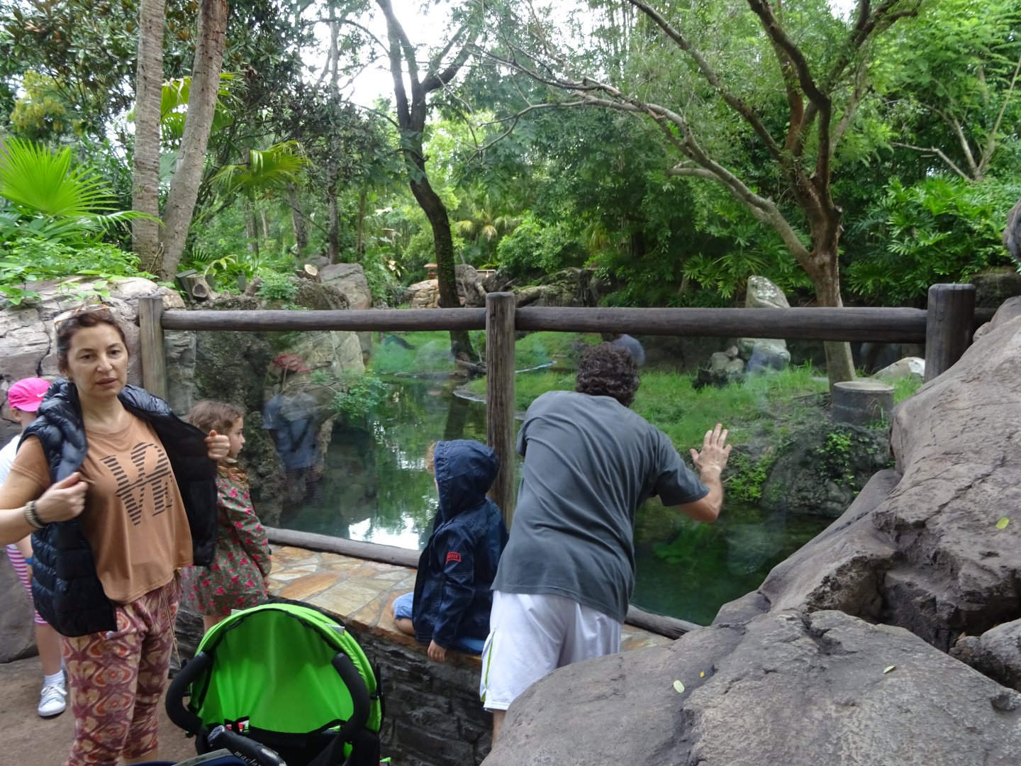 Asian Small-clawed Otter Enclosure at Disney's Animal Kingdom (2014)
