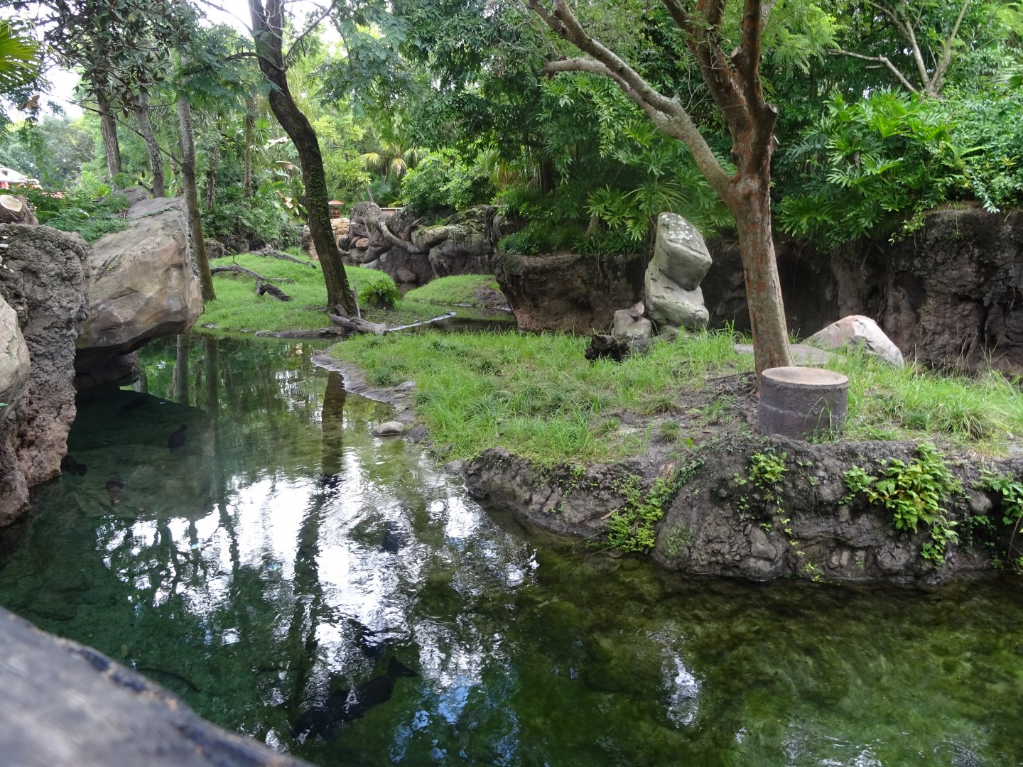 Asian Small-clawed Otter Enclosure at Disney's Animal Kingdom (2014)