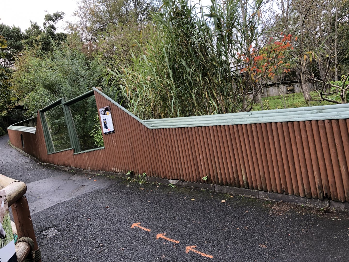 Asian Small-clawed Otter Enclosure at Edinburgh Zoo (2020)