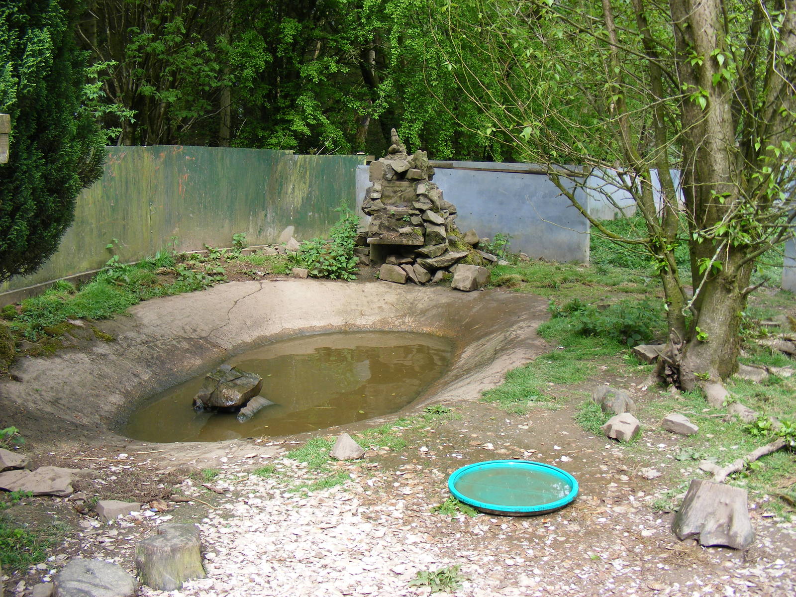 Asian small-clawed otter enclosure at Galloway Wildlife Conservation Park,