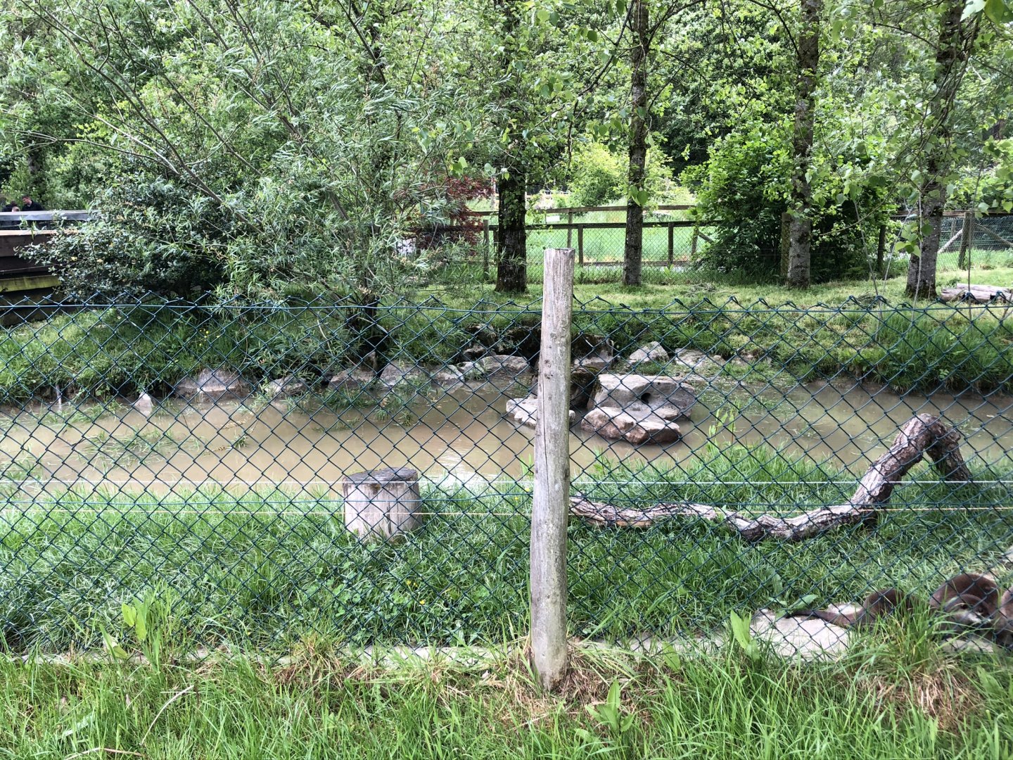 Asian Small-clawed Otter Enclosure at Lake District Wildlife Park (May 2019)