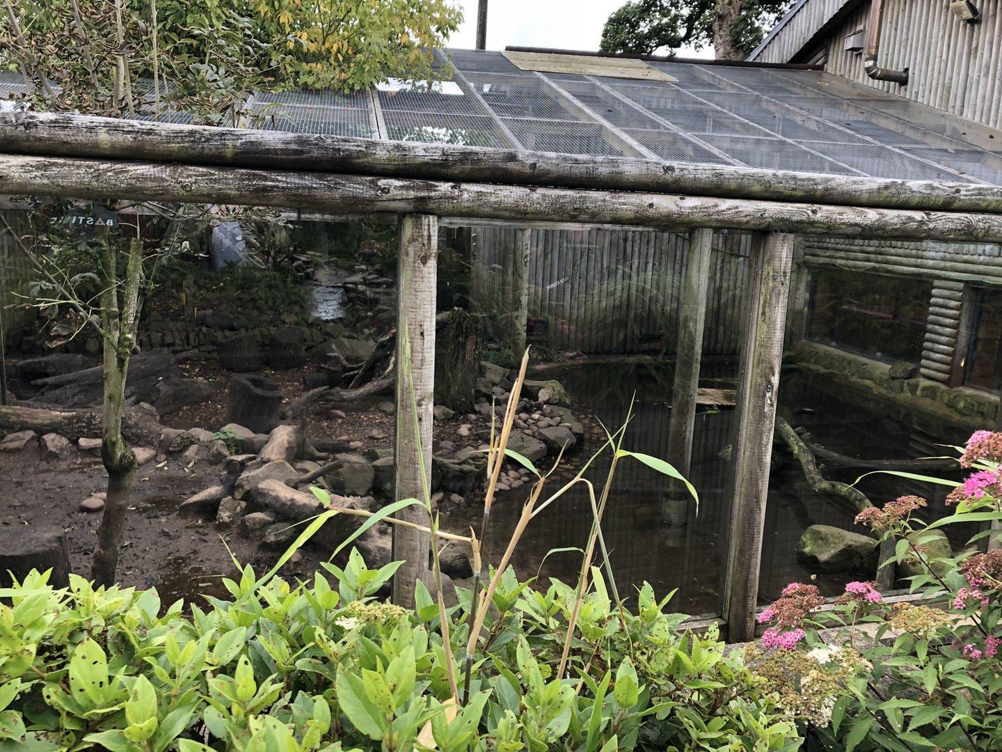 Asian Small-clawed Otter Enclosure at Peak Wildlife Park (August 2023)