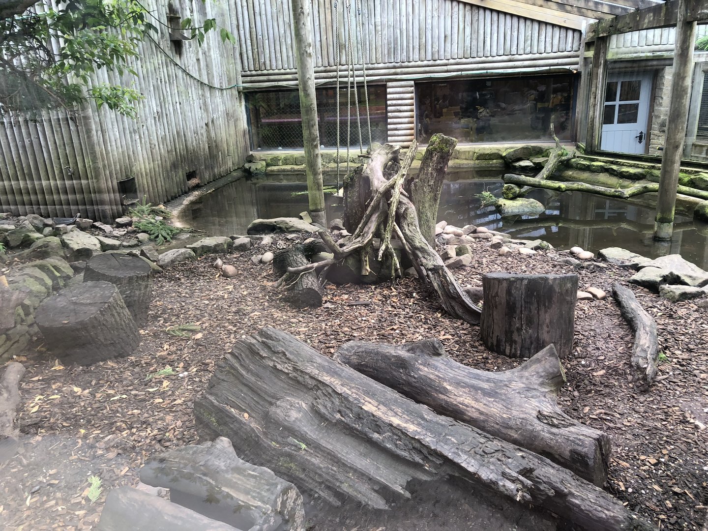 Asian Small-clawed Otter Enclosure at Peak Wildlife Park (August 2023)