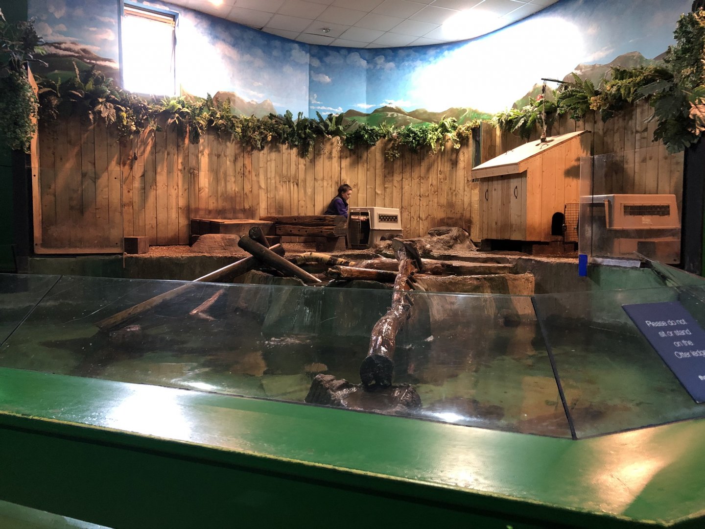 Asian Small-clawed Otter Enclosure at Tynemouth Aquarium (2019)