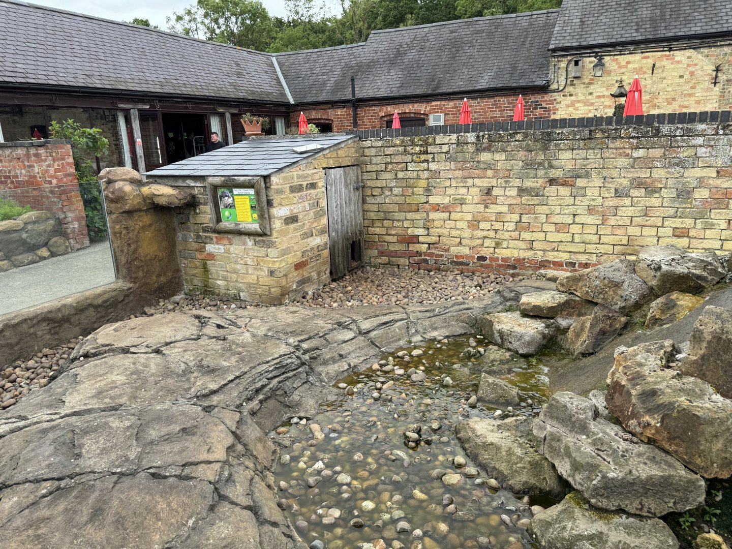 Asian Small-clawed Otter Enclosure at Woodside Wildlife Park (May 2024)