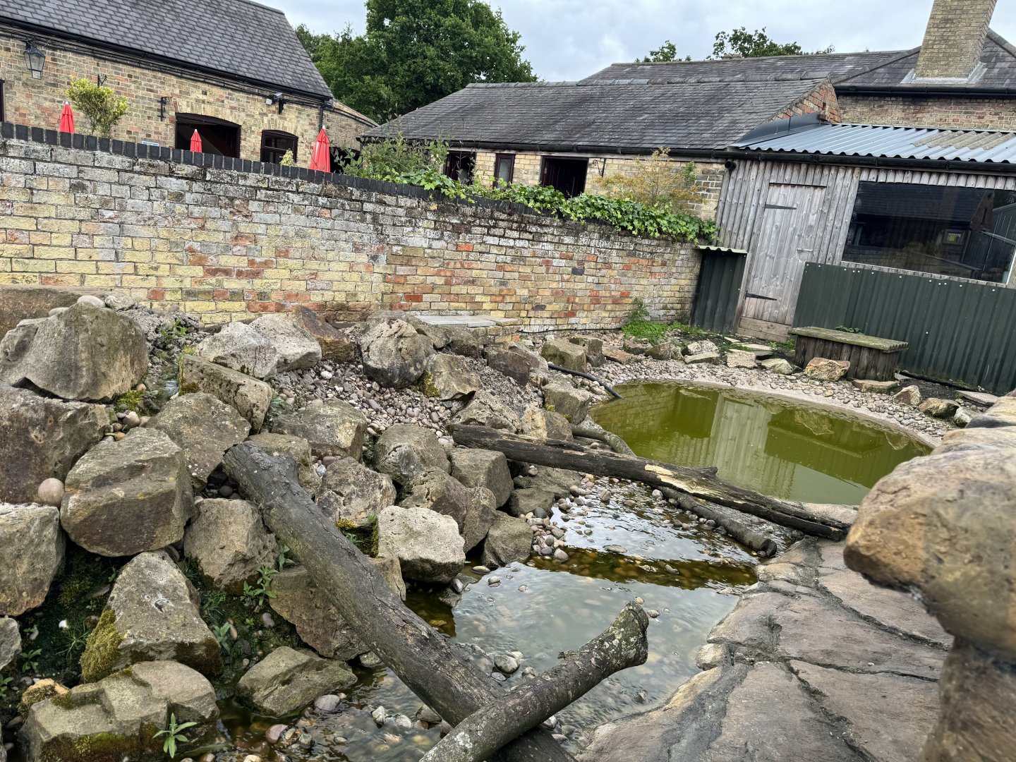 Asian Small-clawed Otter Enclosure at Woodside Wildlife Park (May 2024)