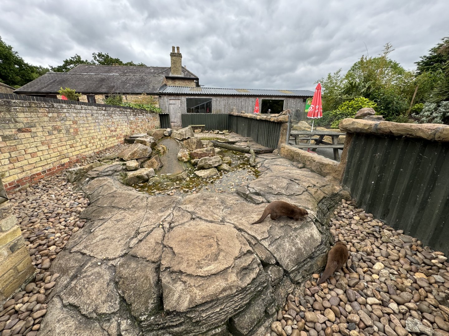 Asian Small-clawed Otter Enclosure at Woodside Wildlife Park (May 2024)