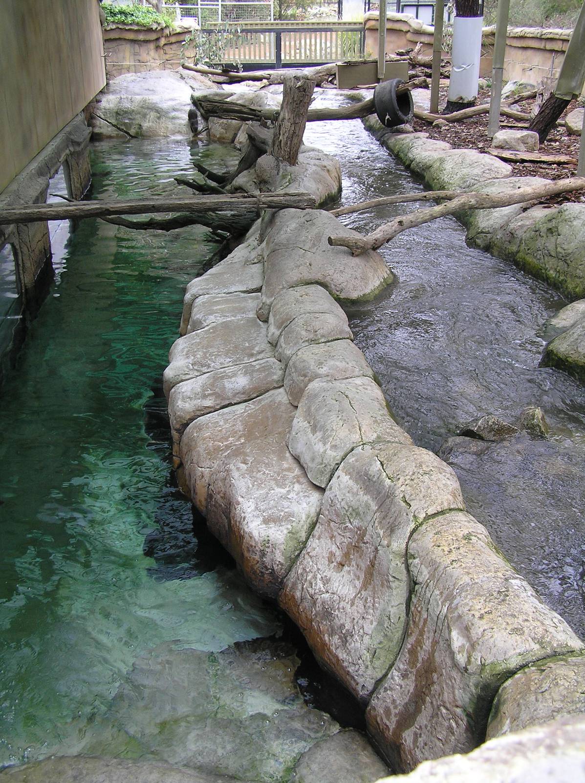 Asian small-clawed otter enclosure