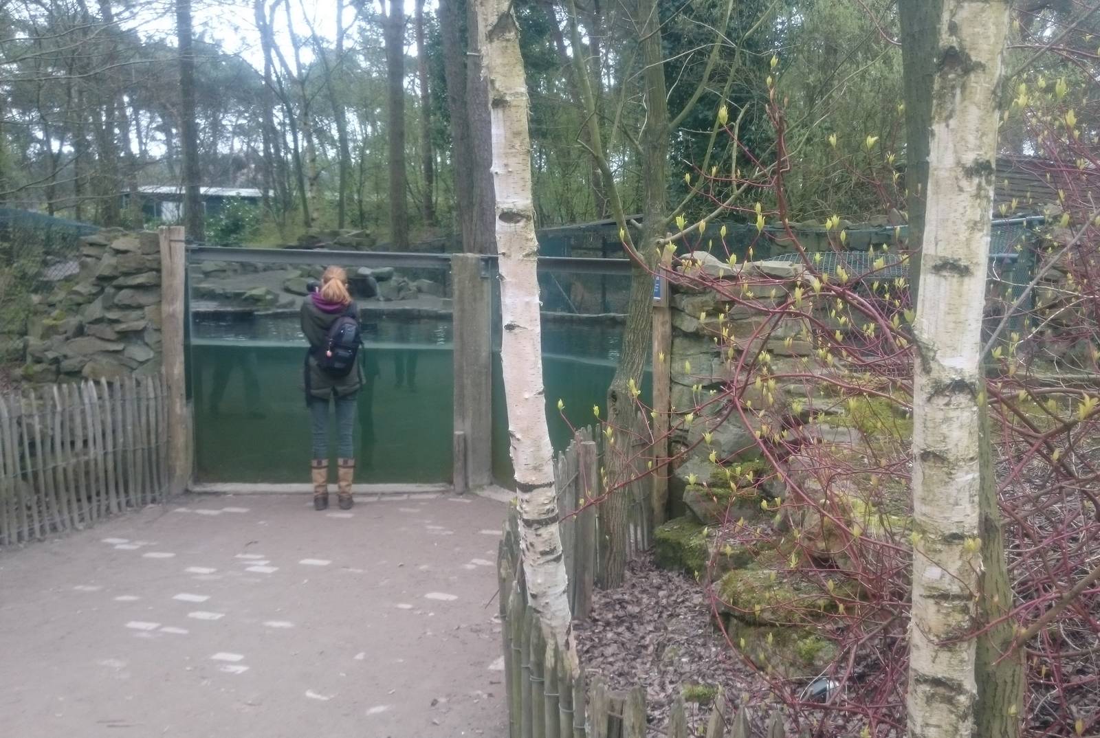 Asian small-clawed otter enclosure