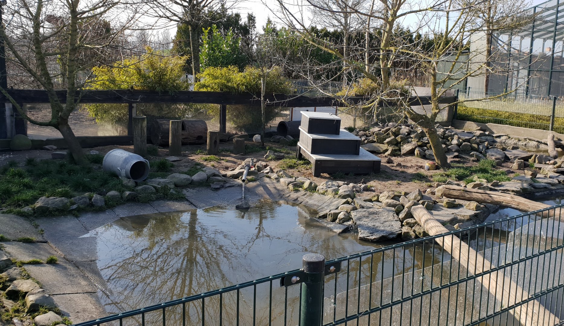 Asian small-clawed otter enclosure