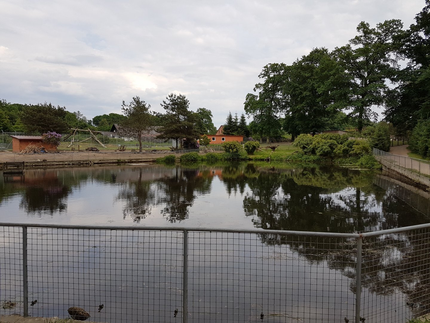 Asian small-clawed otter enclosure