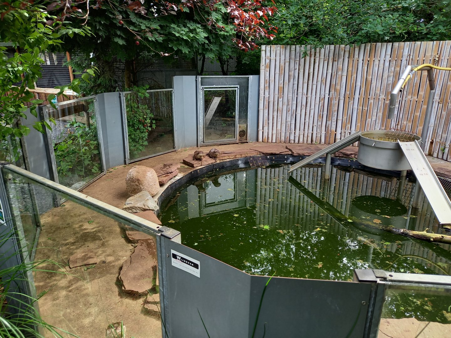 Asian small-clawed otter enclosure