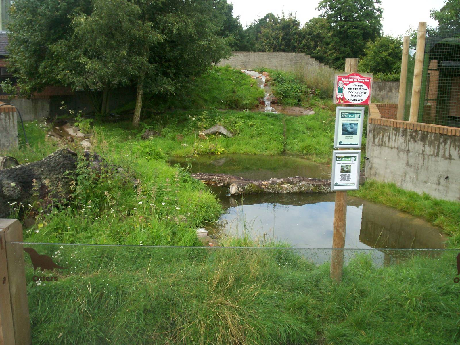 Asian small clawed otter enclosure
