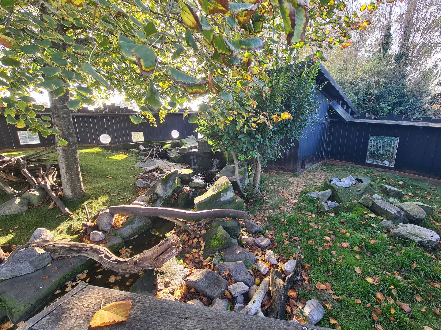 Asian small-clawed otter enclosure