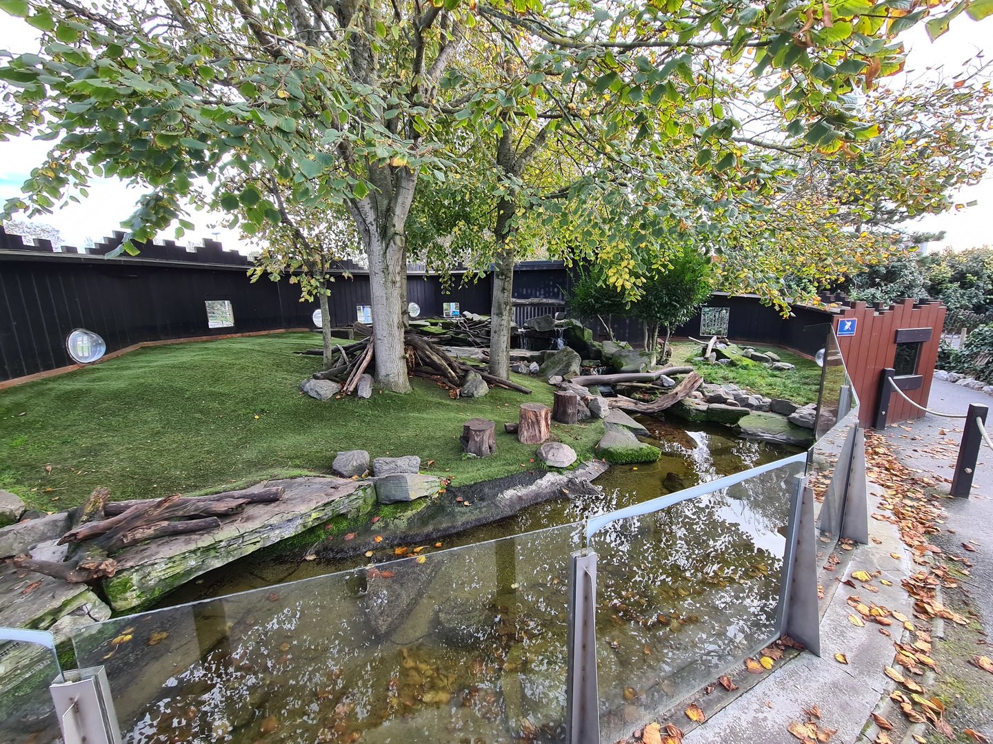 Asian small-clawed otter enclosure