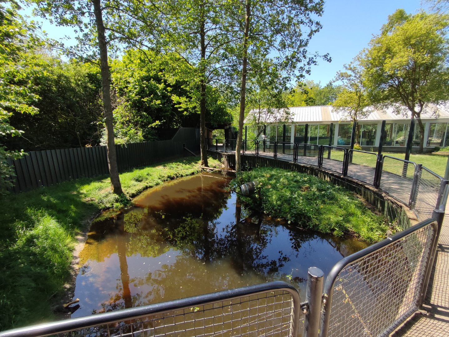 Asian small-clawed otter enclosure