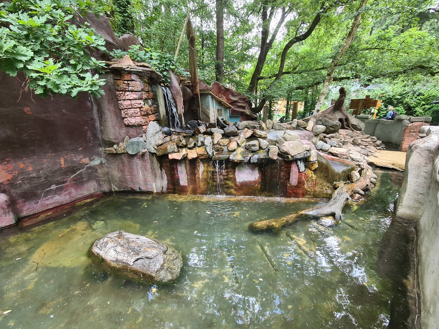 Asian small-clawed otter enclosure