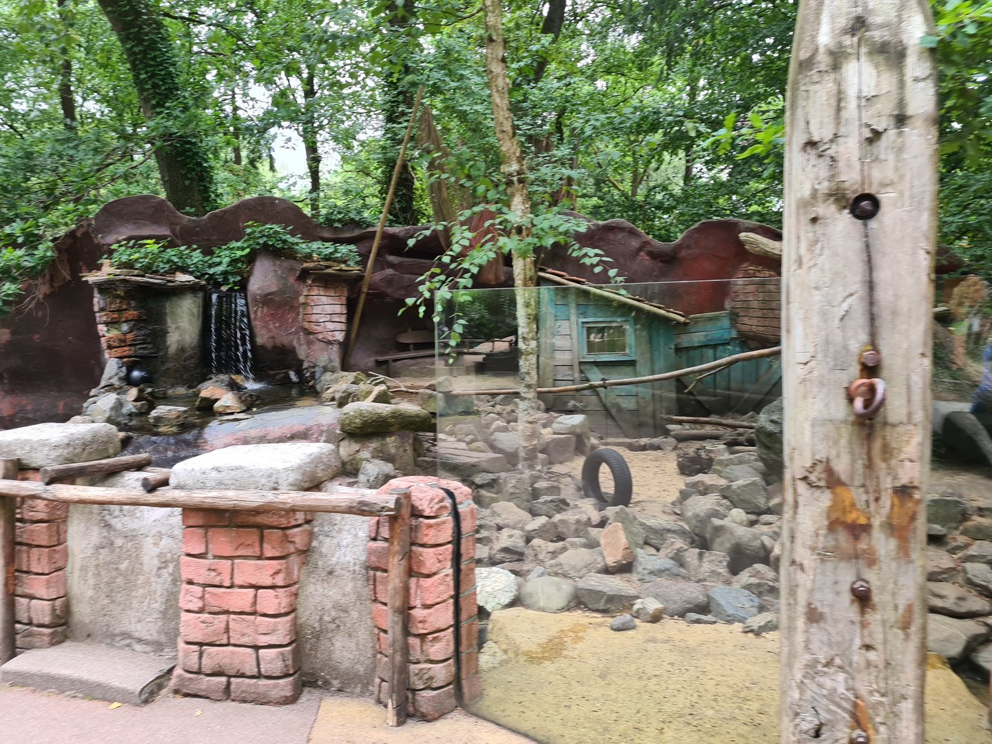 Asian small-clawed otter enclosure