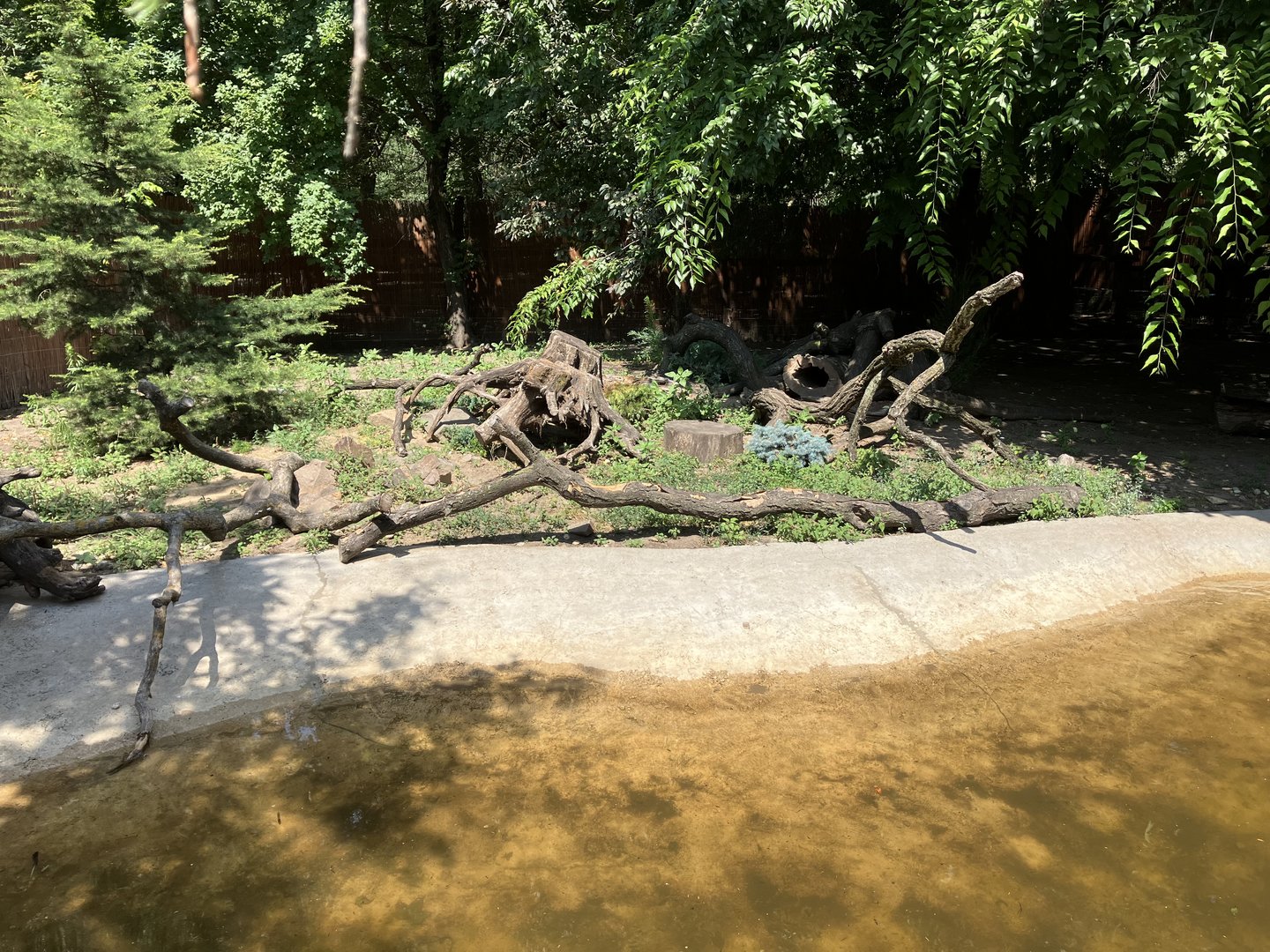 Asian small-clawed otter enclosure