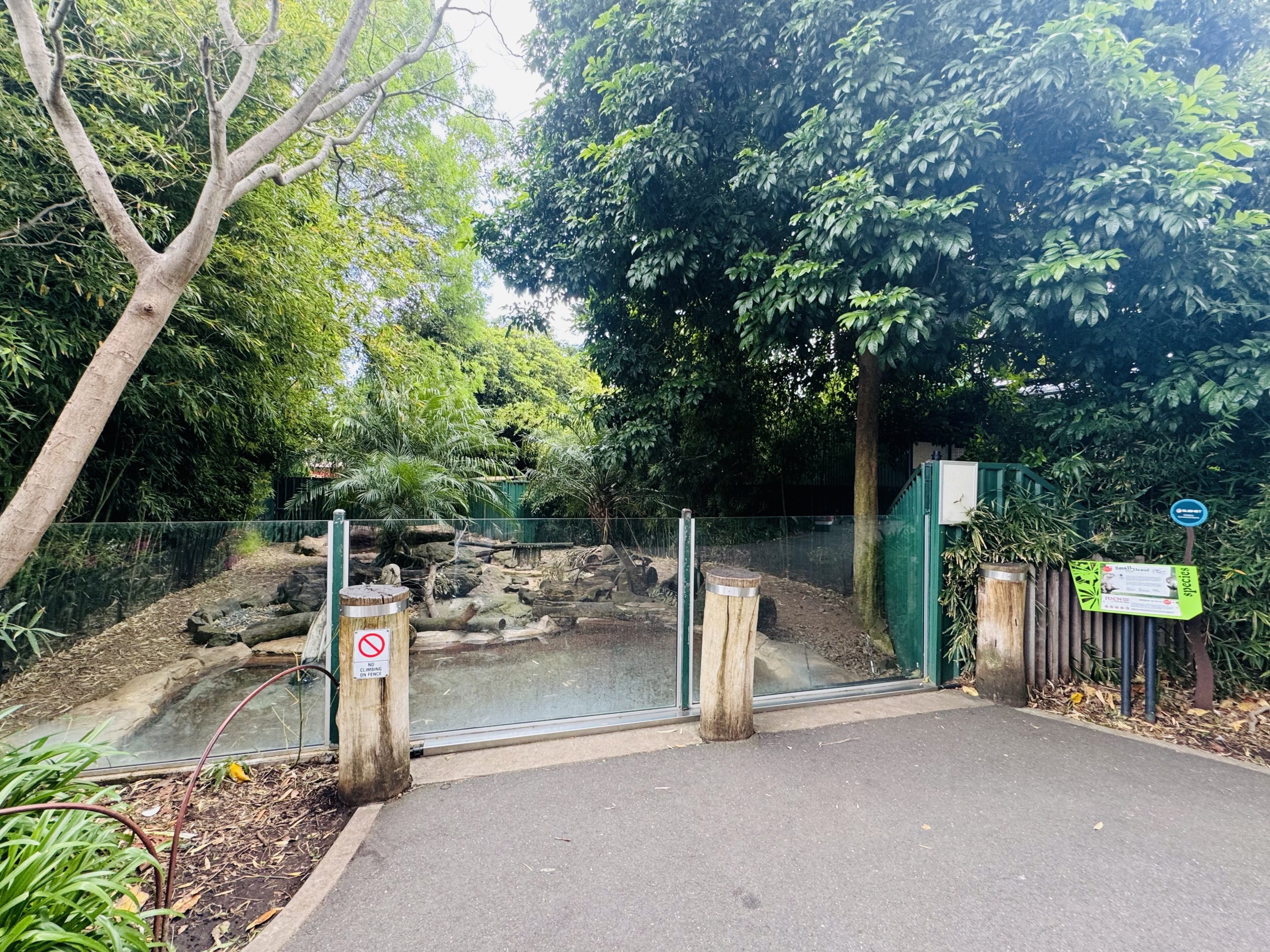 Asian Small-clawed otter enclosure