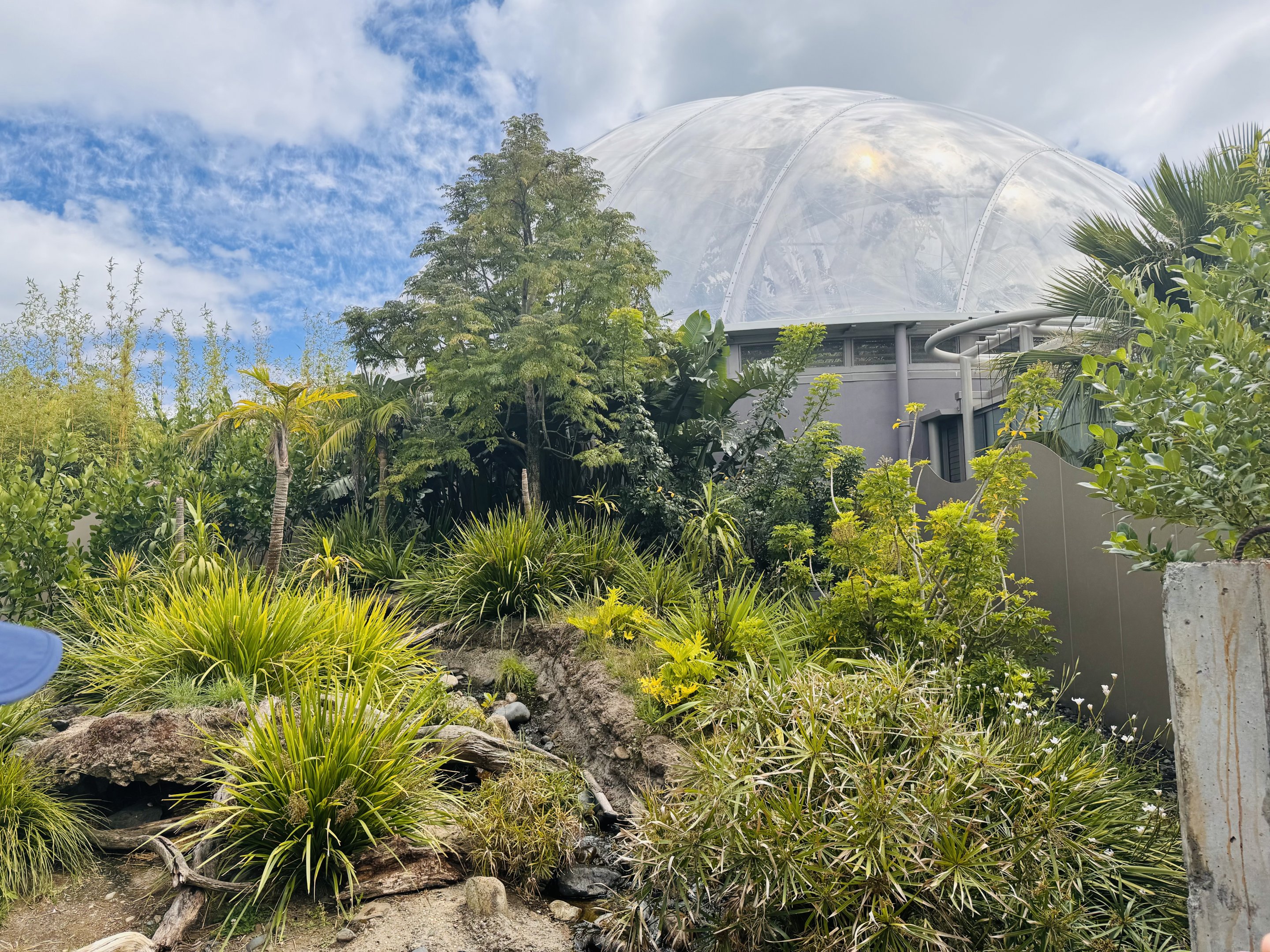 Asian Small-clawed Otter enclosure