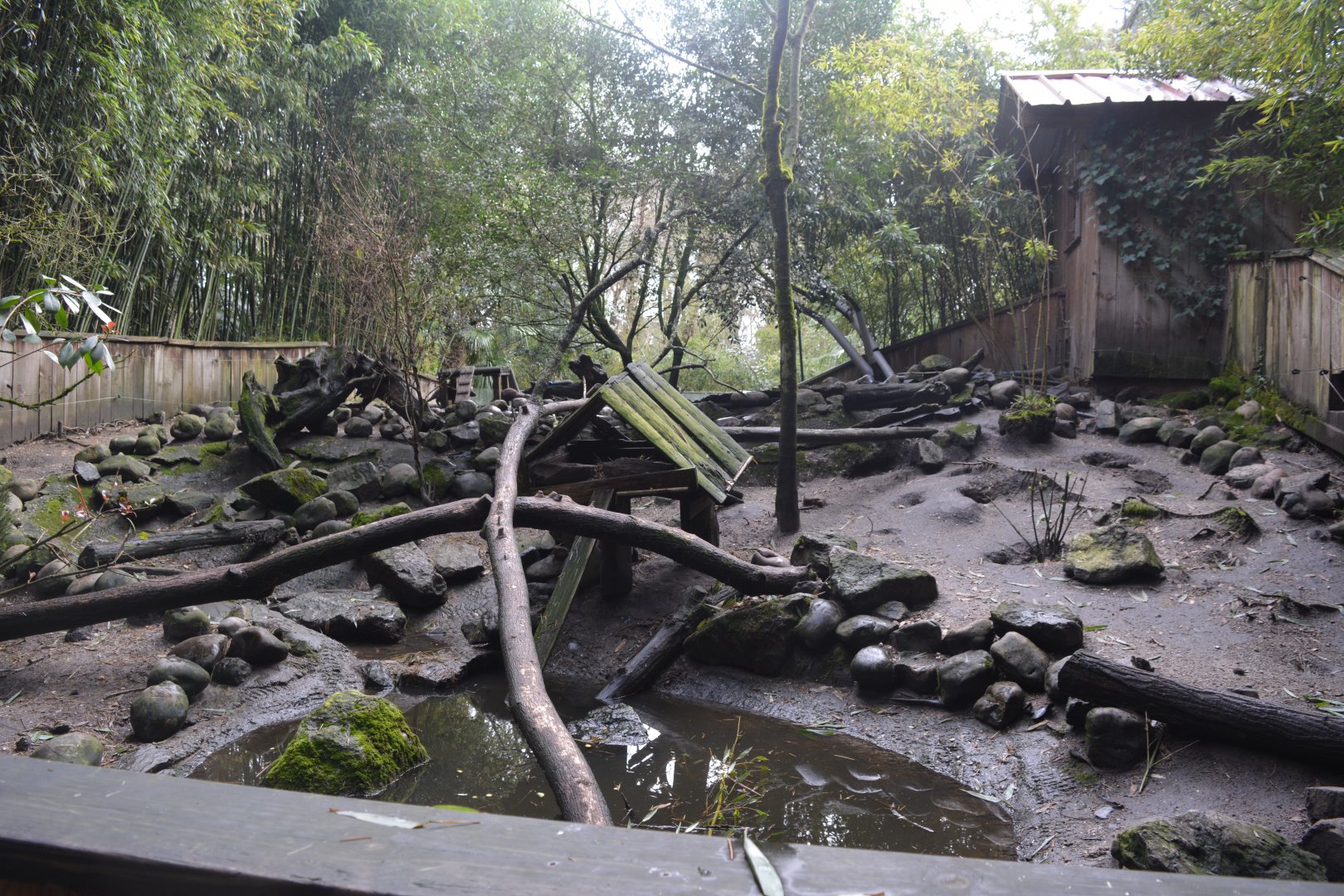 Asian small-clawed otter enclosure