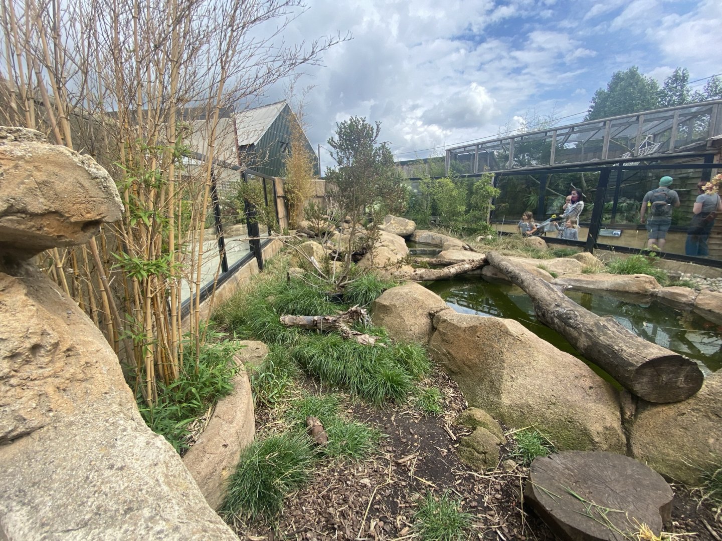 Asian small-clawed otter exhibit 020821