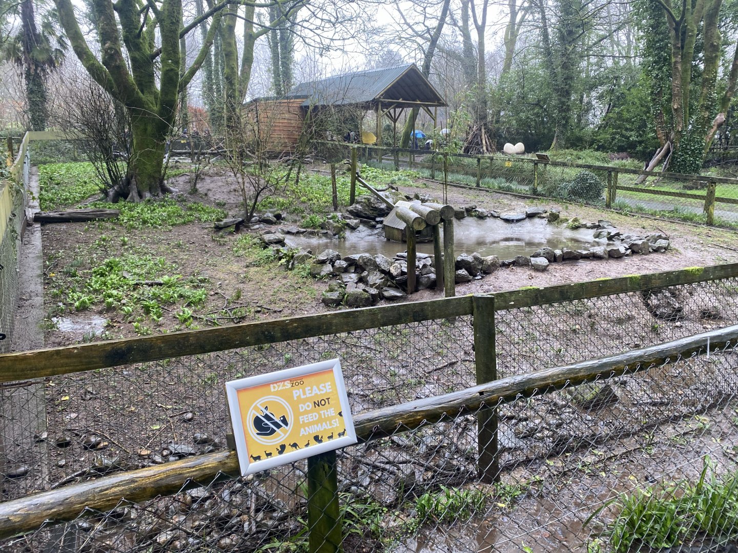Asian small-clawed otter exhibit 140224