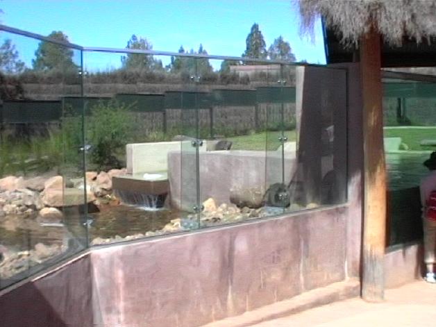 Asian Small-clawed Otter Exhibit (2004)