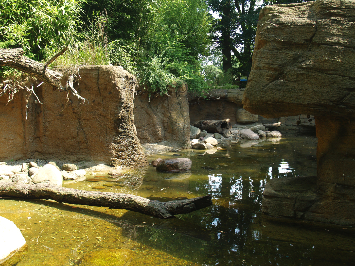 Asian small-clawed otter exhibit, 2006-07-08