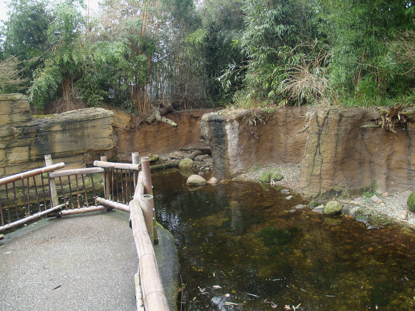 Asian small-clawed otter exhibit, 2008-03-01
