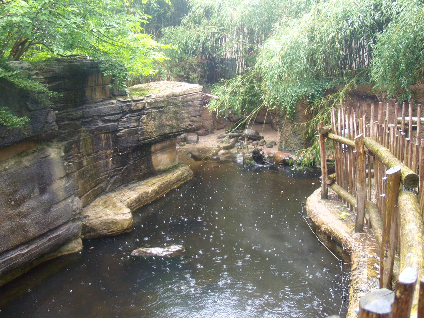 Asian small-clawed otter exhibit, 2015-07-19