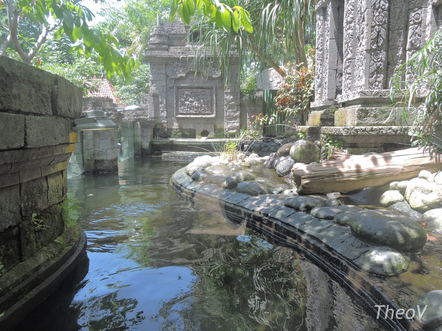 Asian small-clawed otter exhibit [2016]