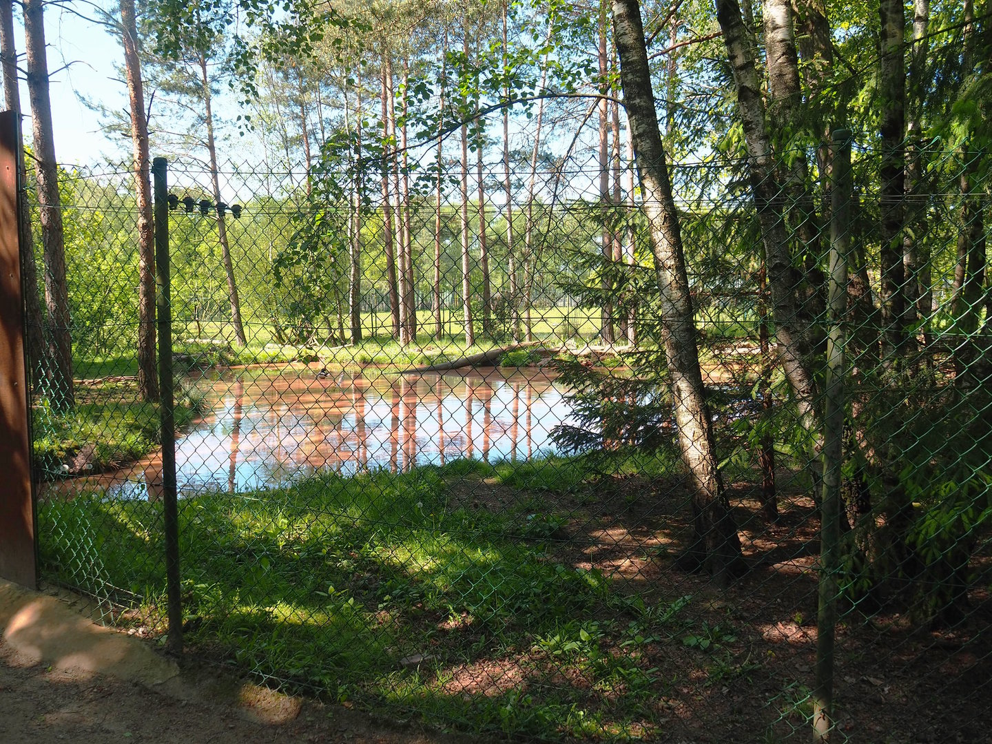 Asian small-clawed otter exhibit, 2023-05-19